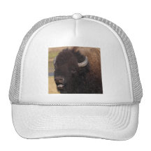 bisonte gorro