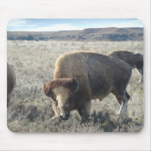 Bisonte occidental de Kansas Tapetes De Ratones