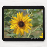 blackeyed_susan, foto del conde de Barbara Alfombrilla De Ratones