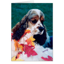 Blanco cocker spaniel del Sable Felicitaciones