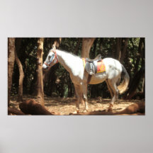Blanco del caballo impresiones