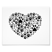 Blanco del corazón de Pawprints de los rastros de  Impresiones Fotograficas