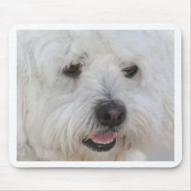 Blanco del perro alfombrillas de ratón