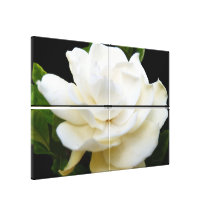 Blanco puro del Gardenia Impresiones En Lienzo Estiradas
