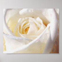 blanco-rosa impresiones