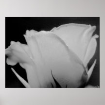 Blanco, S Cyr Impresiones