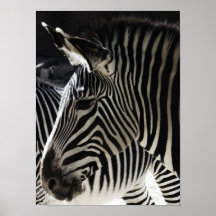 blanco y negro impresiones