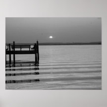 Blanco y negro simple de Chincoteague Poster