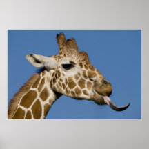 Bleeeh Poster