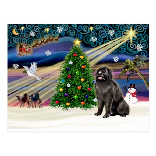 Blksit de la Magia-Newfie de Navidad Tarjeta Postal