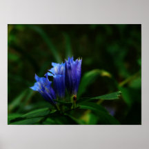 Blueandgreen Impresiones