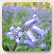 Bluebell Posavasos De Bebida