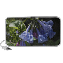 Bluebells de Virginia iPhone Altavoces