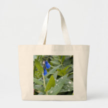 Bluebells y gotas de agua bolsa