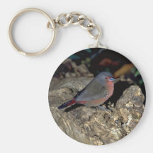 Bluebilled Firefinch Llavero