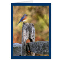 Bluebird del arte Mooney del ~ de la felicidad Tarjeta