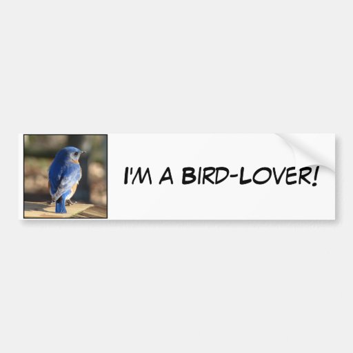 Bluebird del este dulce pegatina de parachoque