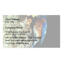 Bluebird del este plantilla de tarjeta de negocio