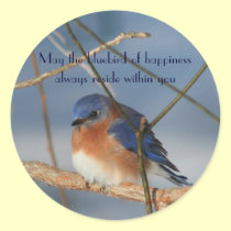 Bluebird del pegatina inspirado de la felicidad pegatinas