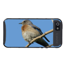 Bluebird occidental iPhone 5 cárcasa