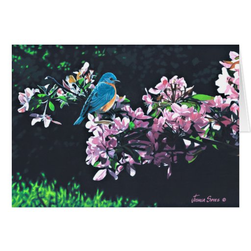 Bluebird Tarjeton