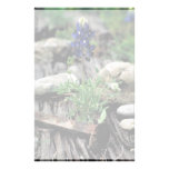 Bluebonnet de Tejas Papeleria