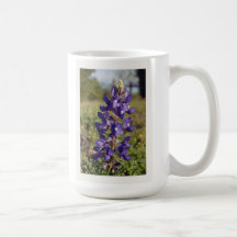 Bluebonnet de Tejas Tazas De Café