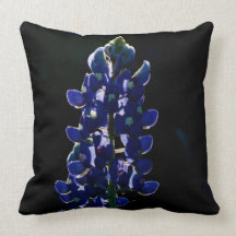 Bluebonnet y almohada india de la brocha