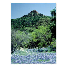 Bluebonnets, Llano, Tejas, los E.E.U.U. Tarjetas Postales