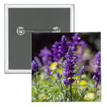 Bluebonnets Pin