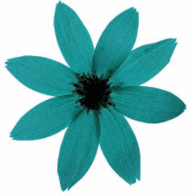 blueflower escultura fotografica