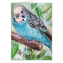 BlueParakeet Felicitaciones