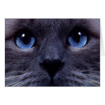 blueyes felicitación