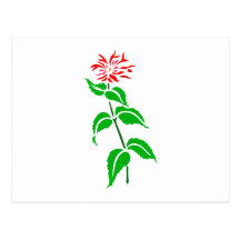Blumen flowers postkarte