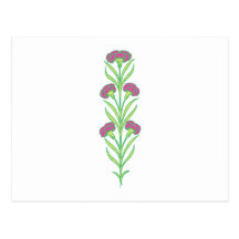Blumen flowers postkarte