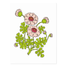 Blumen flowers postkarten