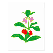 Blumen flowers postkarten