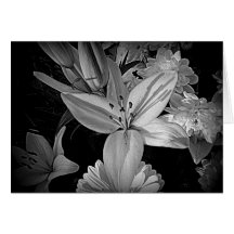 Blumen Karte
