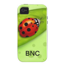BNC ANIMAIS