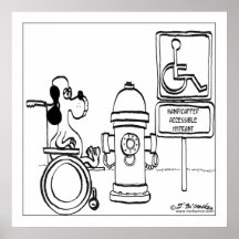 Boca de riego accesible perjudicada poster