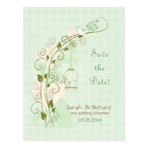 Boda de la menta de los Lovebirds - ahorre la fech Tarjetas Postales