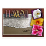 Boda del destino - Hawaii Postal