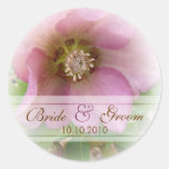 Boda del rosa cuaresmal etiqueta redonda