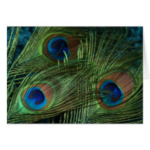 Boda verde de la pluma del pavo real tarjetón