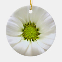 bodas de la flor de la margarita blanca adorno