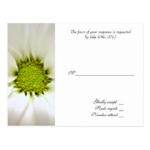 bodas de la flor de la margarita blanca postales