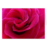 Bodas rosados de encargo color de rosa de las tarj