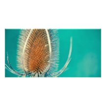 Bokeh esmeralda tarjetas personales con fotos
