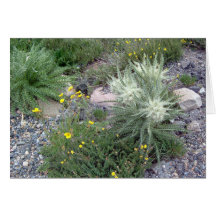 Bola escarchada: Wildflowers alpinos Felicitaciones