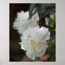 Bolas de nieve poster